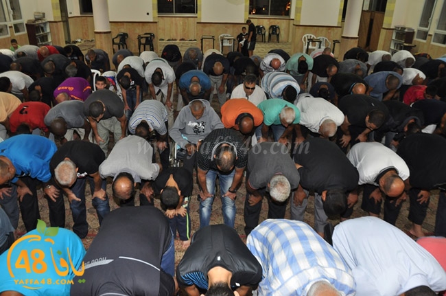 trawe7 aajmai mosque (4).JPG